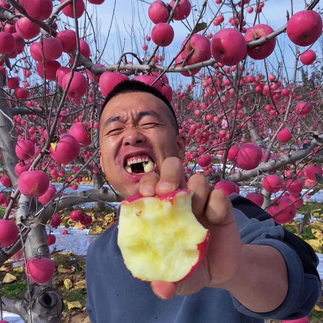 苗小二果蔬