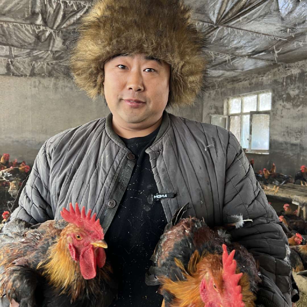 俺屯三胖农村生活