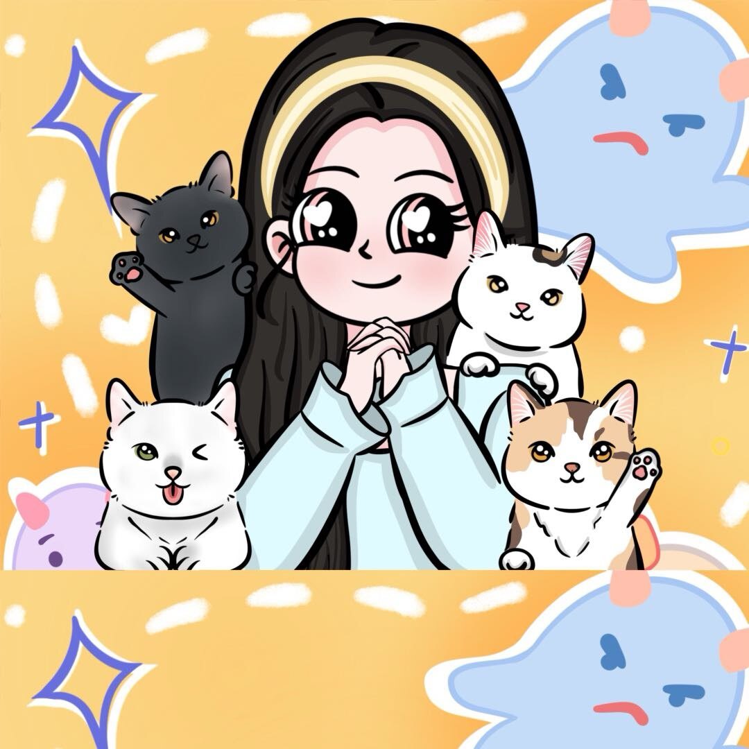 小杰的养猫日记