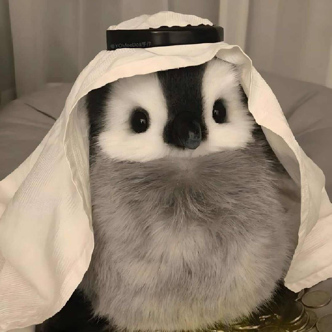 行走的红绿灯丶