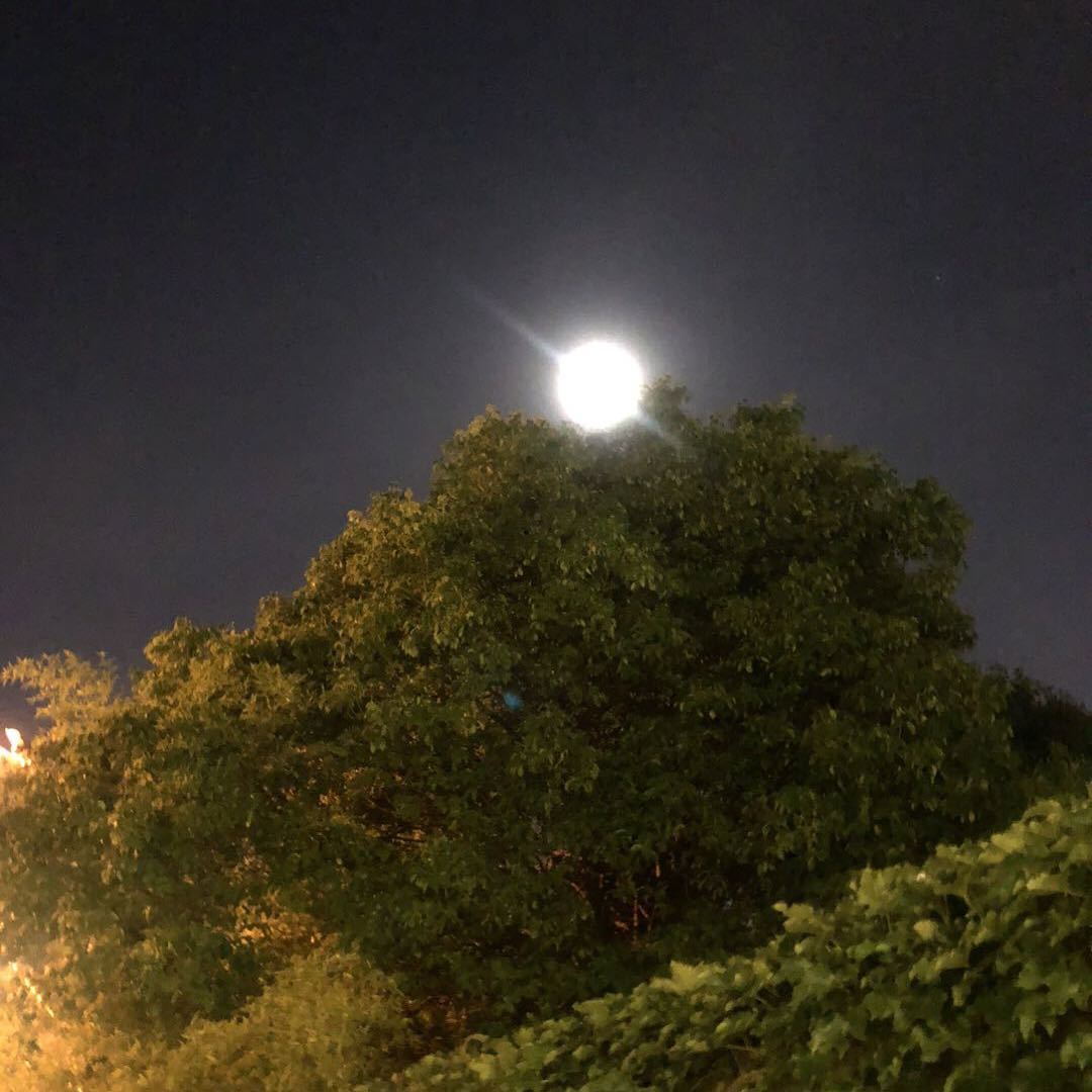 坠落云慕池千空