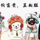 江湖过客李浩然