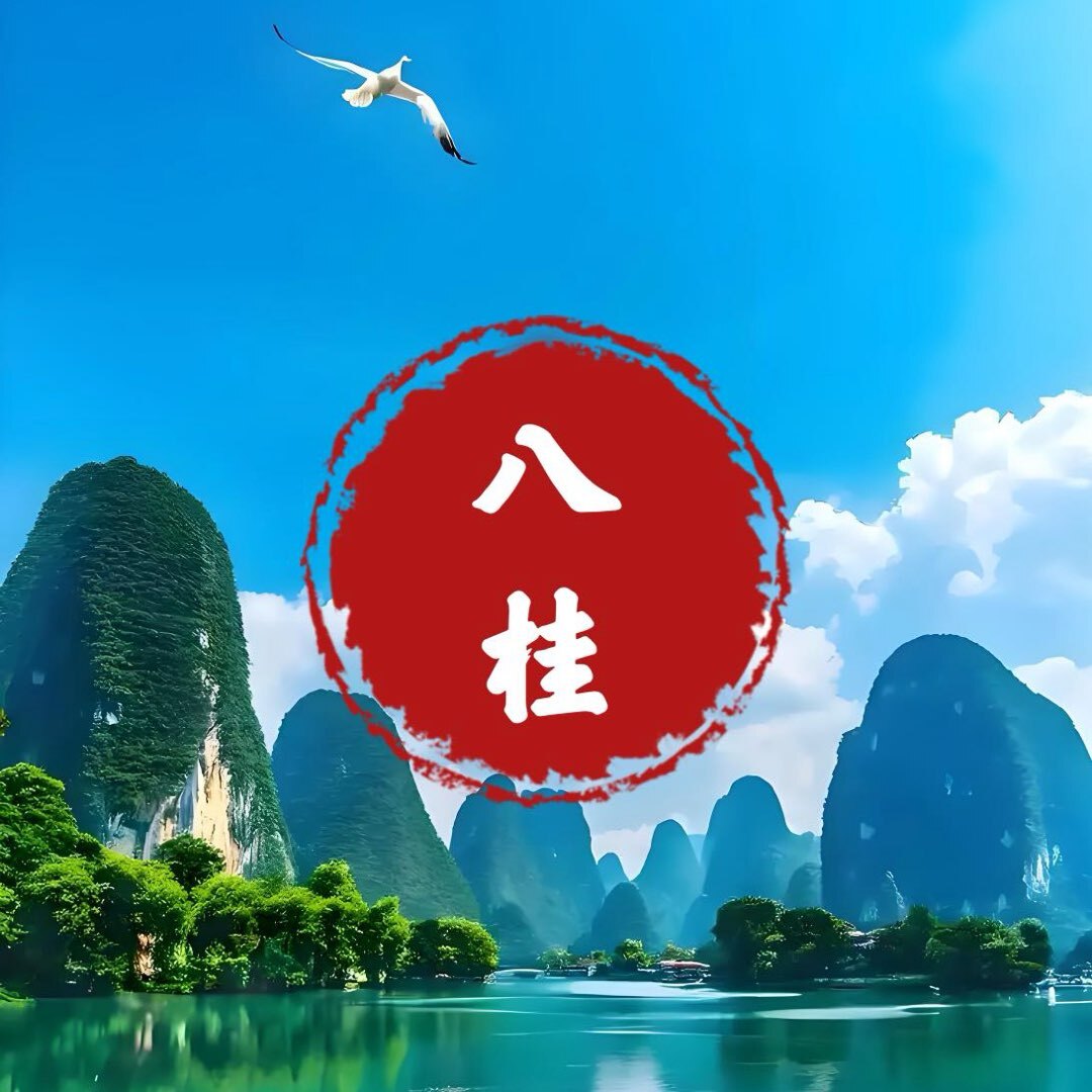 八桂新视觉
