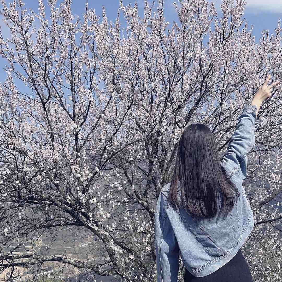 我是小鱼儿99