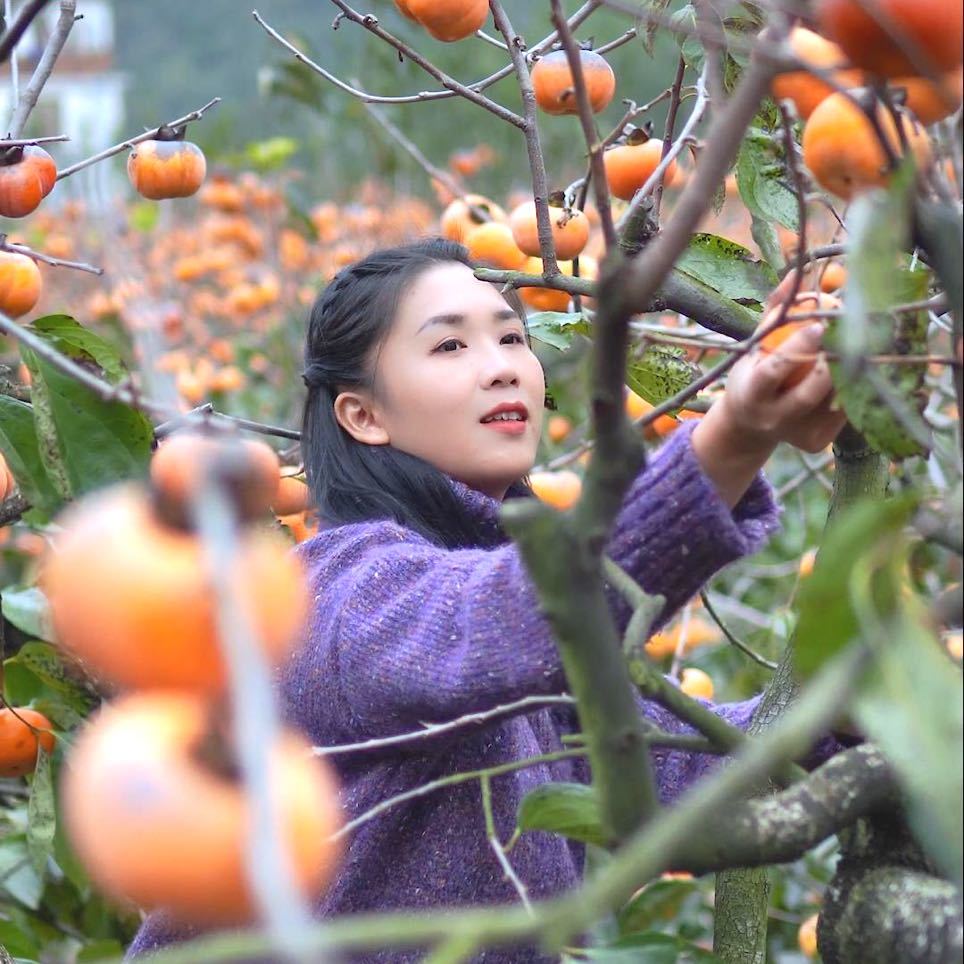 瑶子君.
