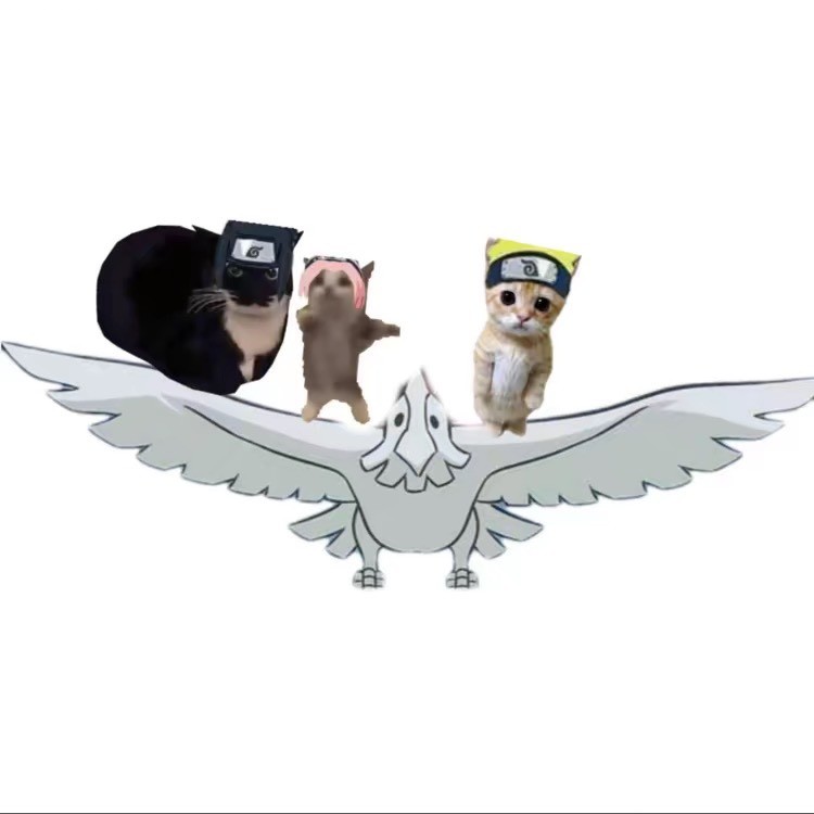 猫喵meme日常