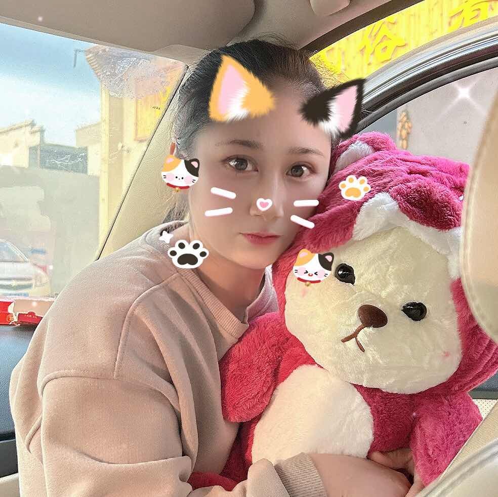 小可爱豚鼠