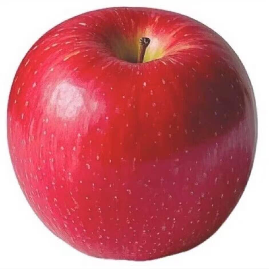 强哥带你好好吃饭