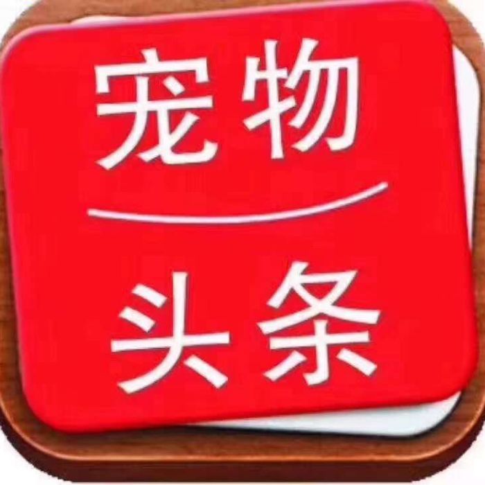 桐庐爱康宠物医院纪医生