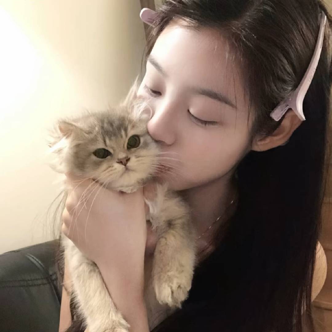 Q.曲奇