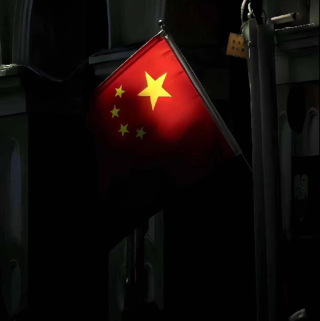 种华家看油管