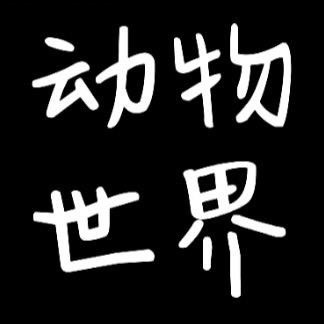 清影大自然w