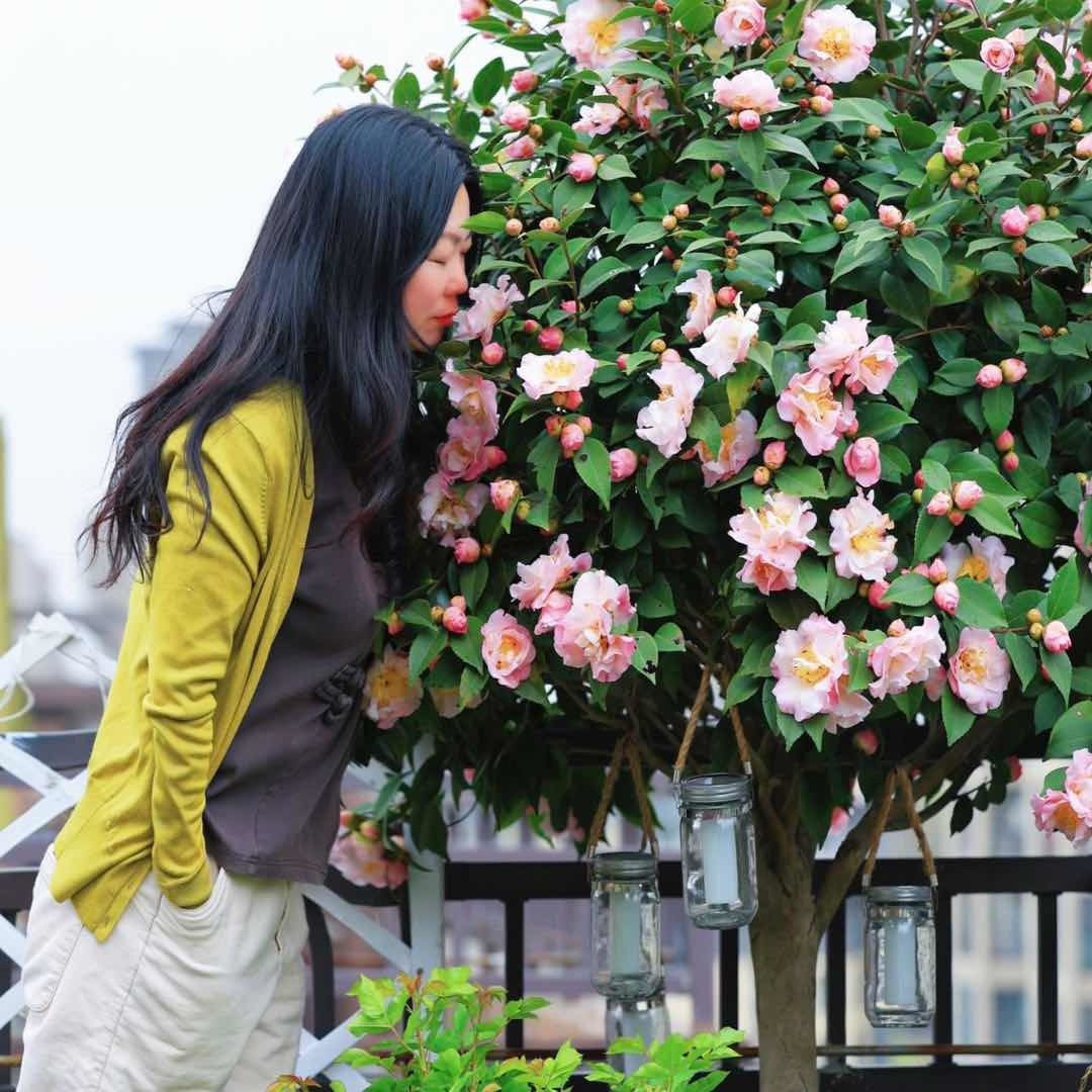 怡心花园1