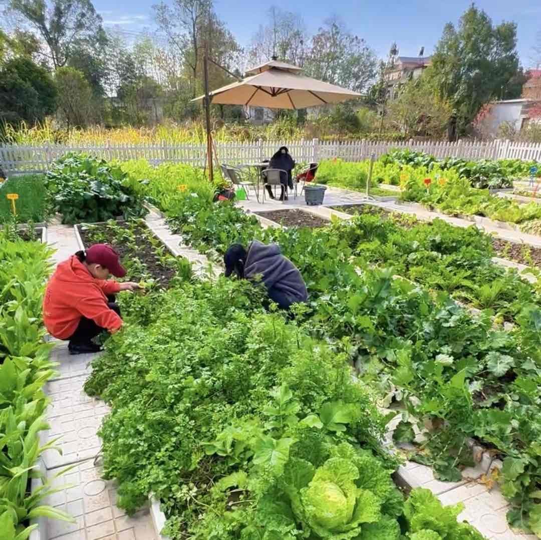 小丁的田园小院
