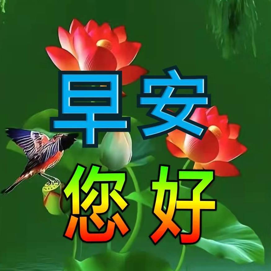 每日祝福早安