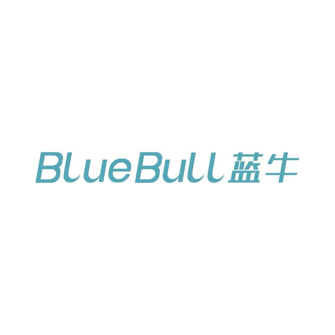蓝牛国际物流