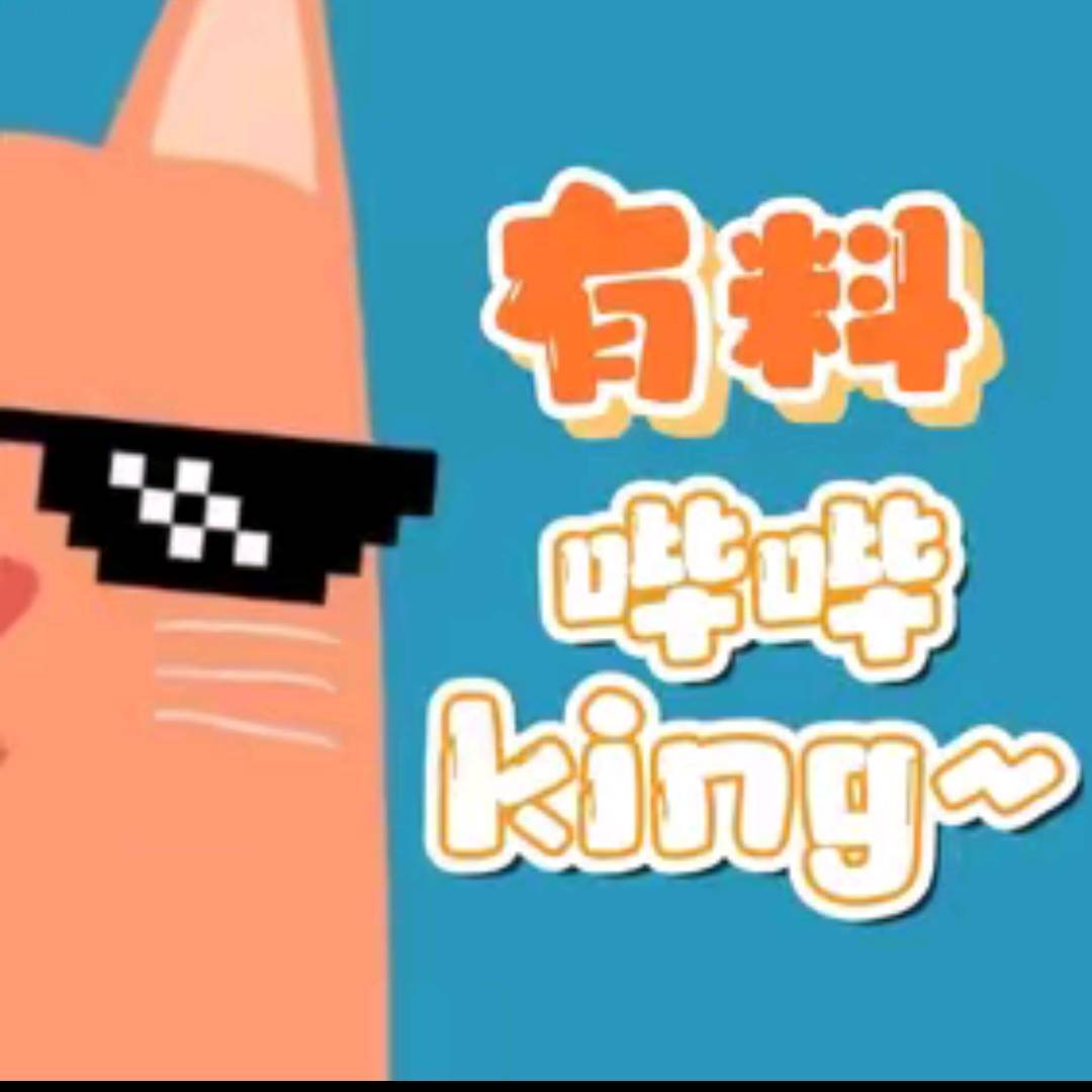 有料哔毕King