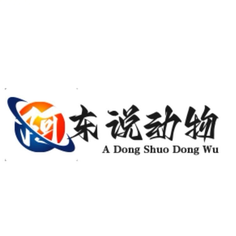 阿东说动物