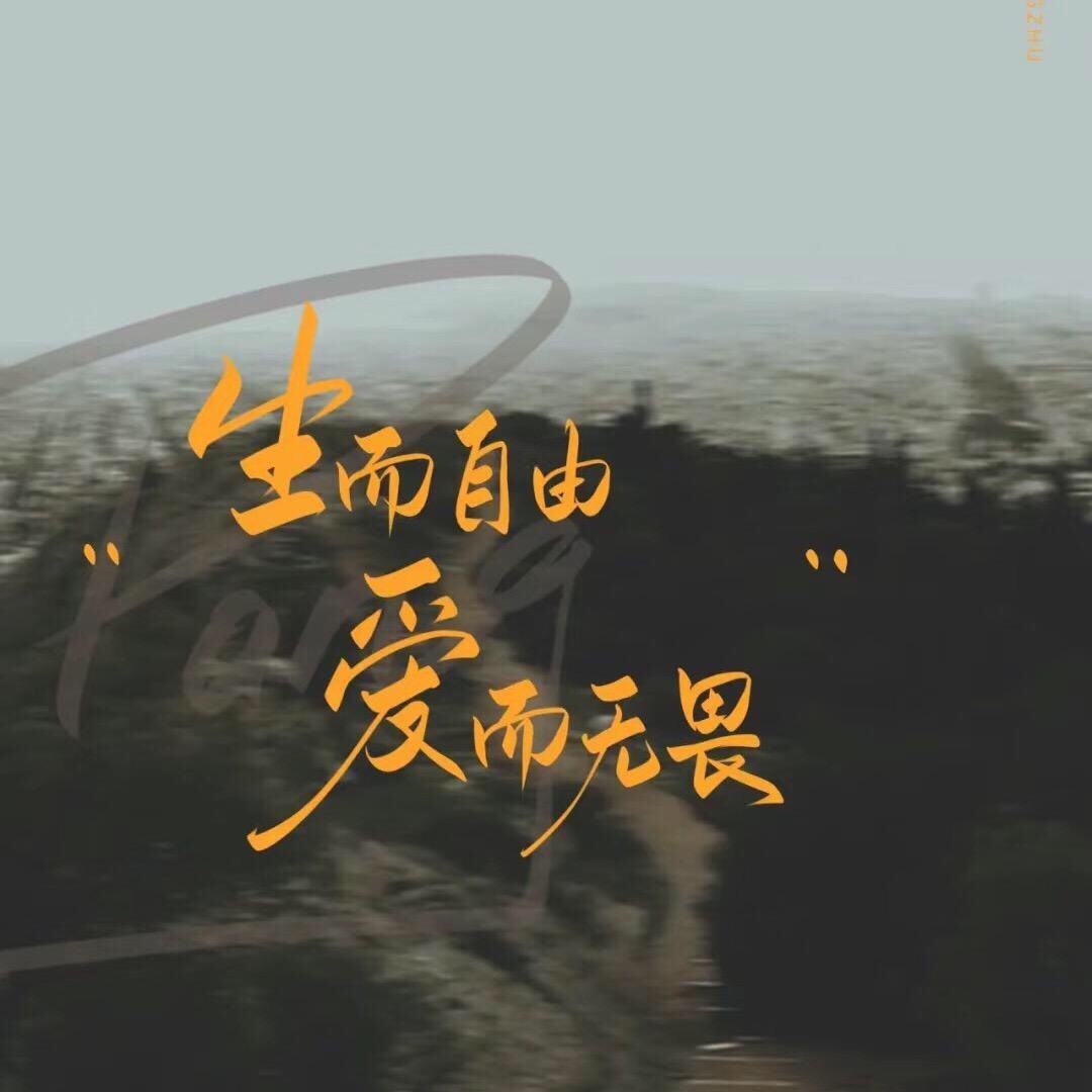 上海游乐