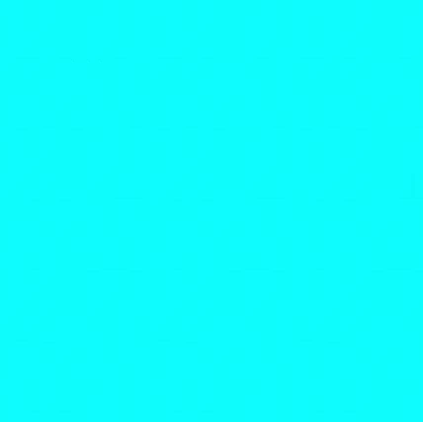 全网名称Ella