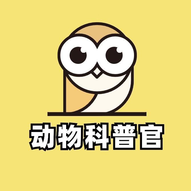 动物科普官
