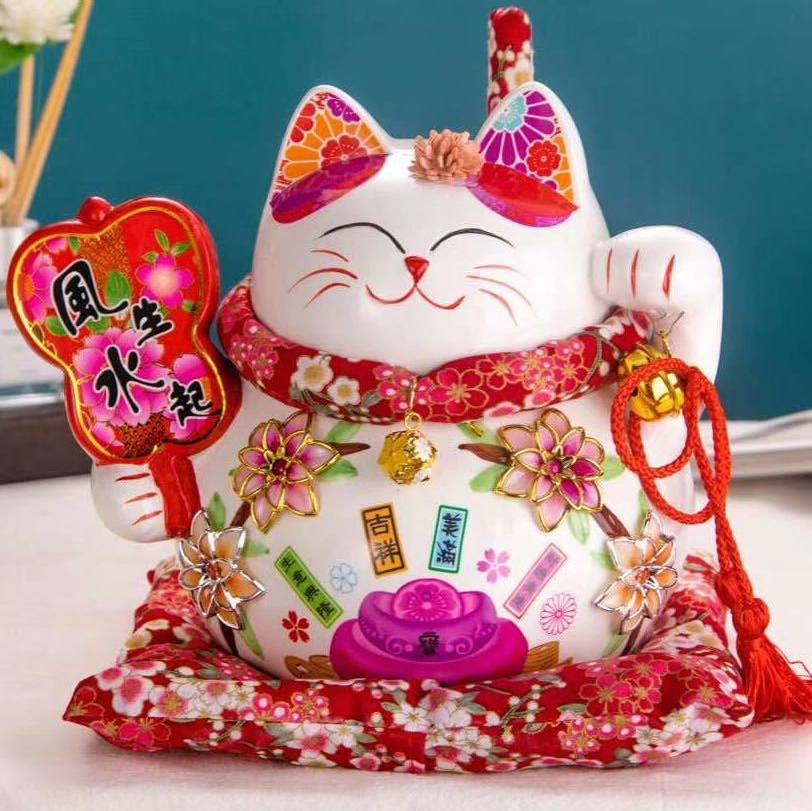 潮汕小青龙记录