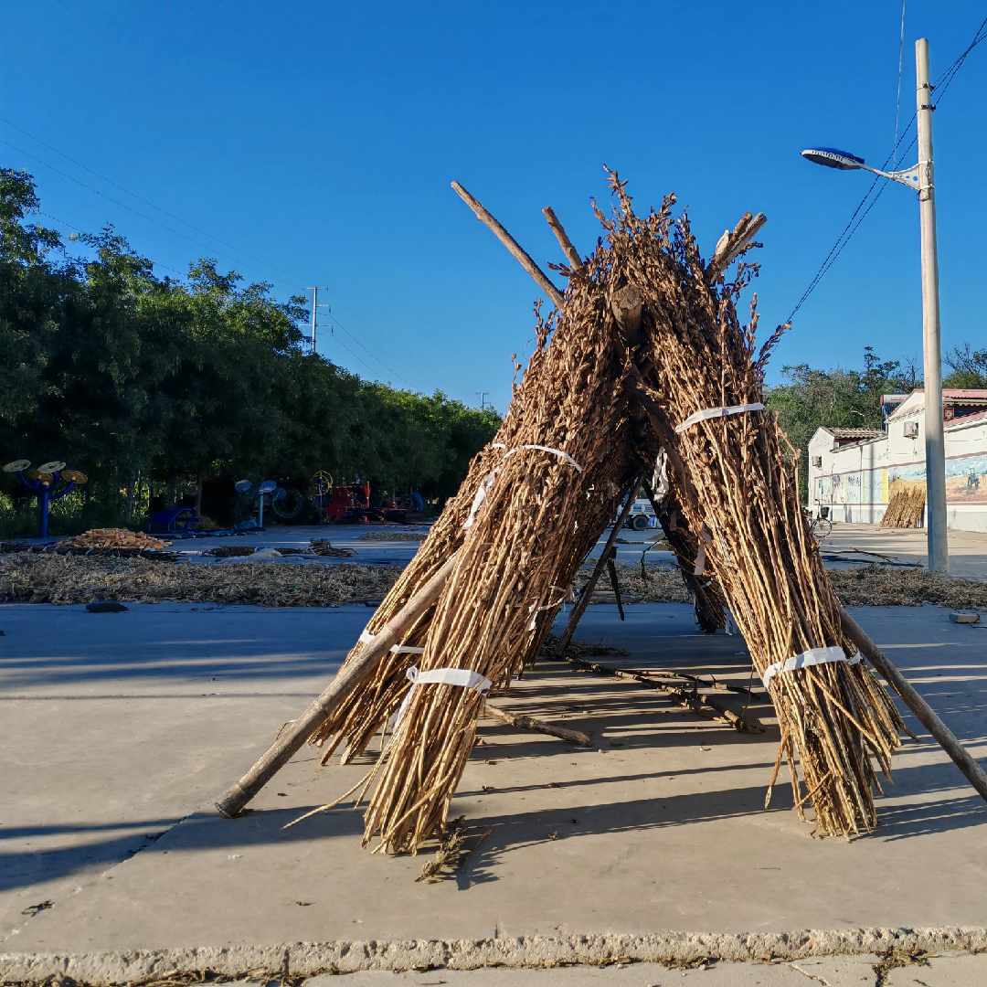 行一万里路破一万卷书