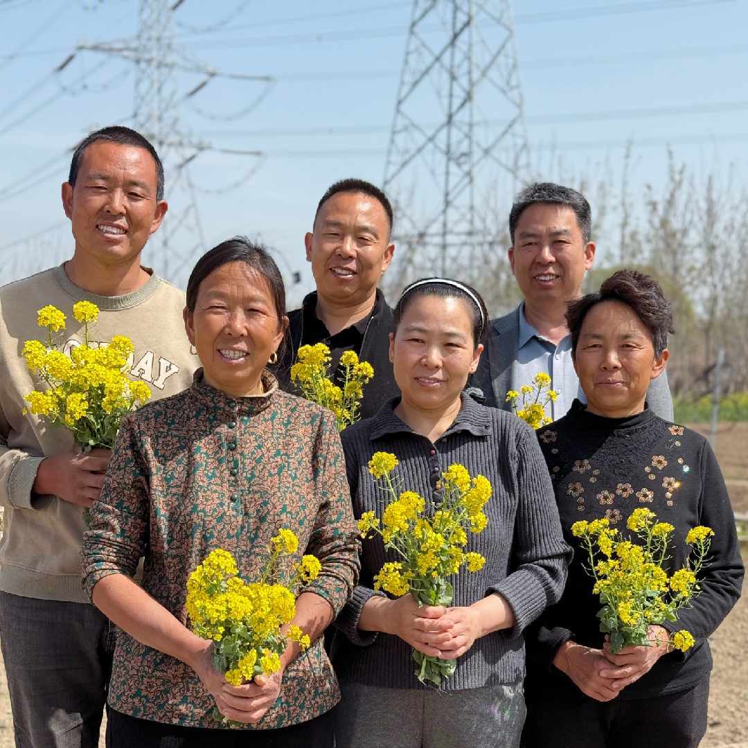 楊家六姊妹