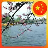 德梅手舞