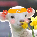 球场npc羊