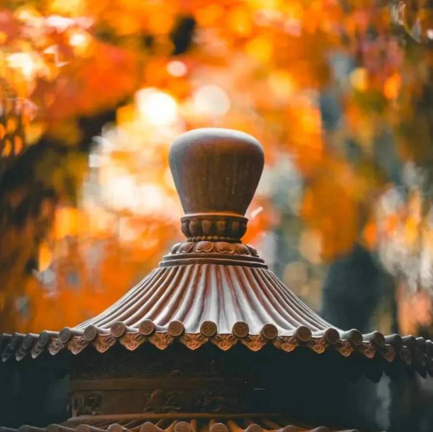 鑫淼游记