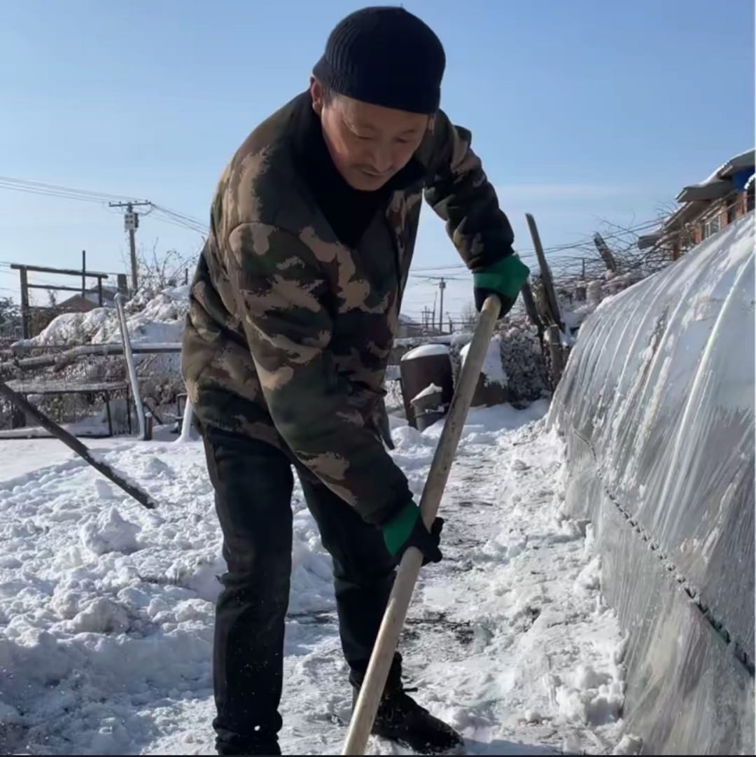 农村张老蔫