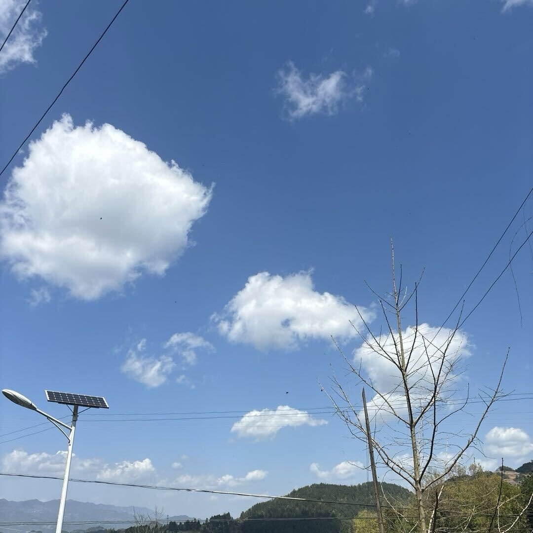 今年发大财88888