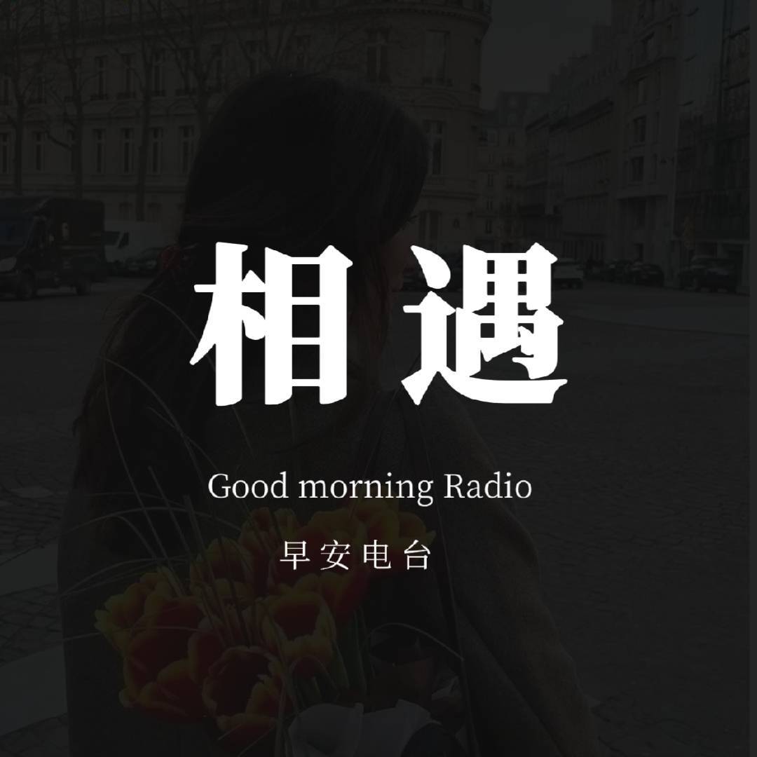 相遇情感.