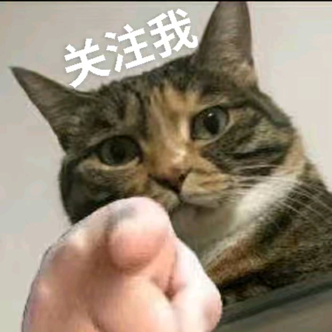 一个小水猫