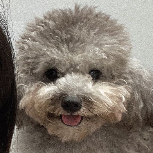 本华是个反骨仔