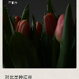 琥珀6678