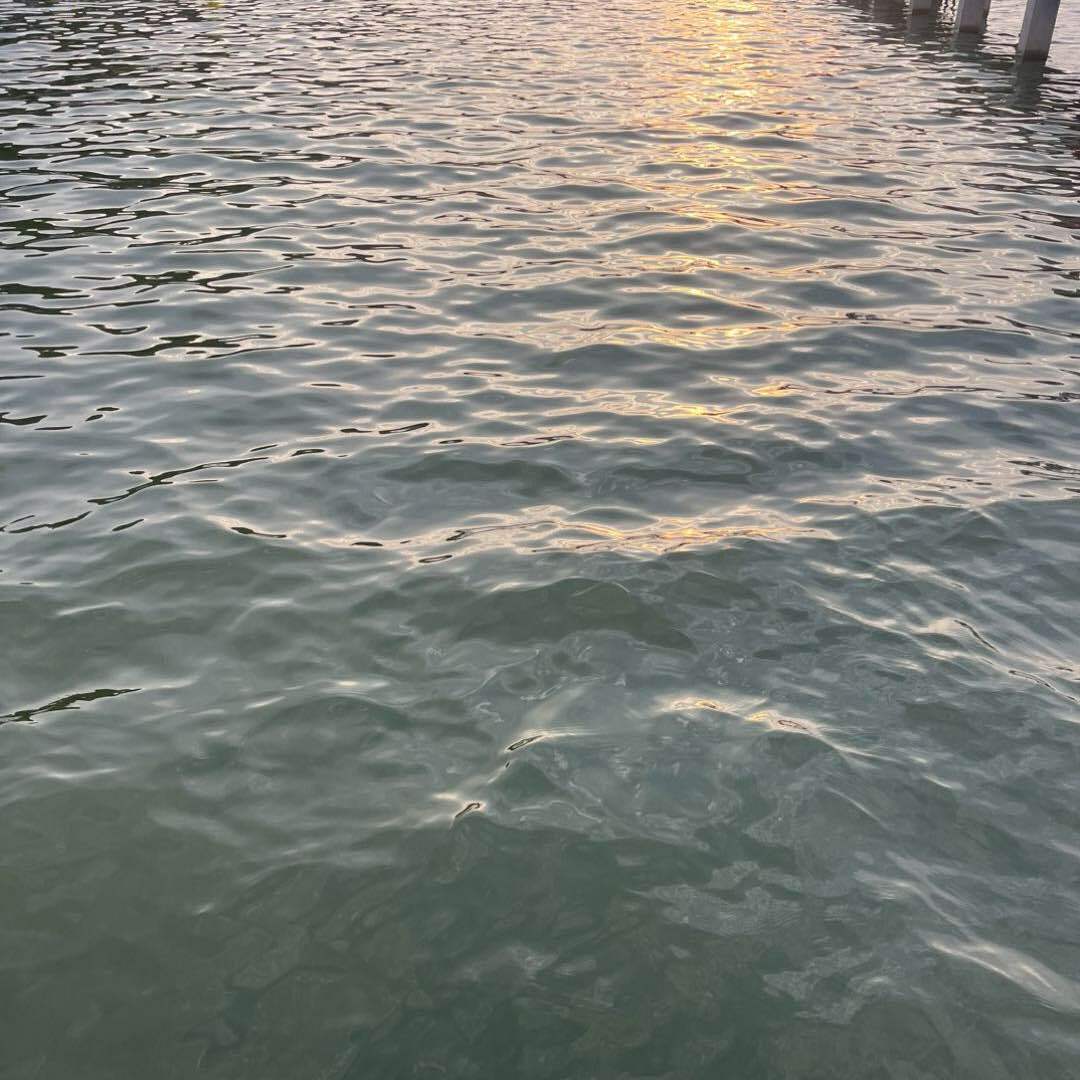 滴答探秘