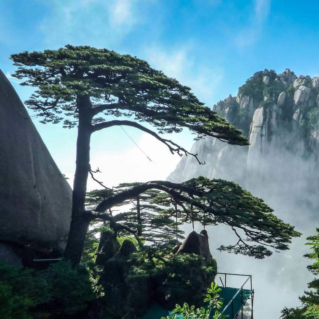 黄山旅游官方平台