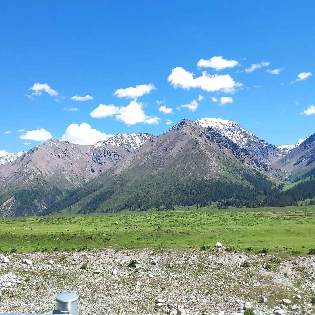霖枫旅行记