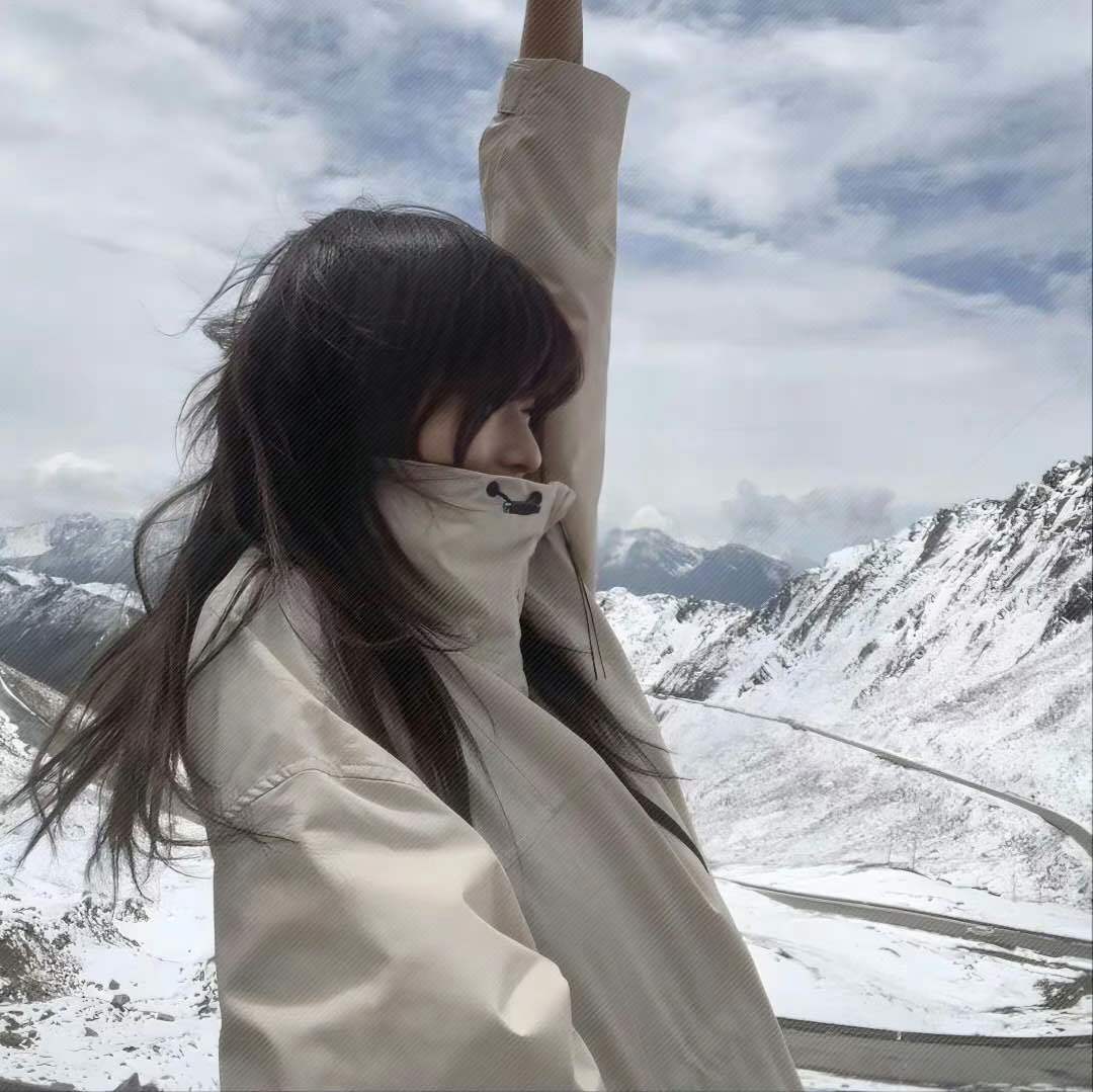 Y爱车