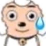 灰黄人参