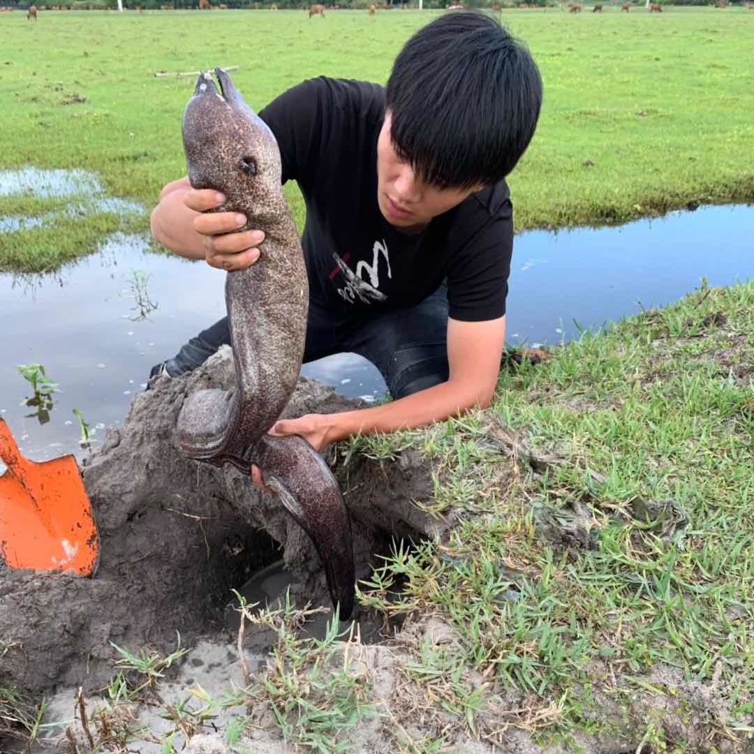 户外林二娃