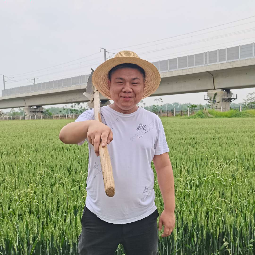 乡村阿松