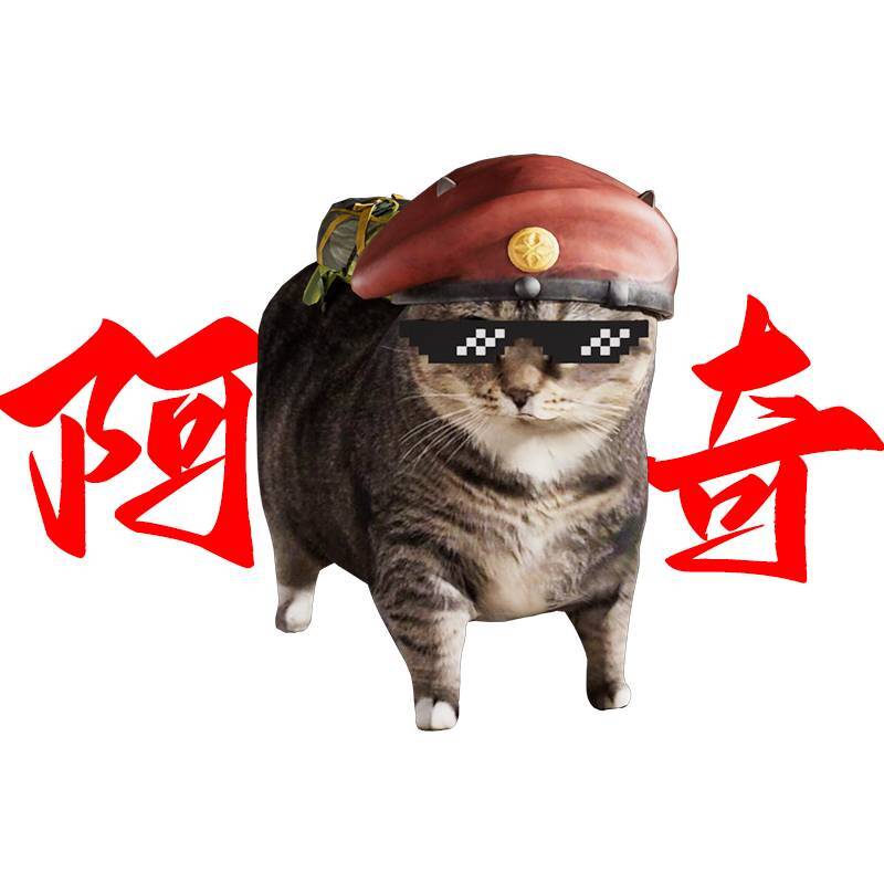 暗区阿奇