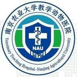 南农大动物医院