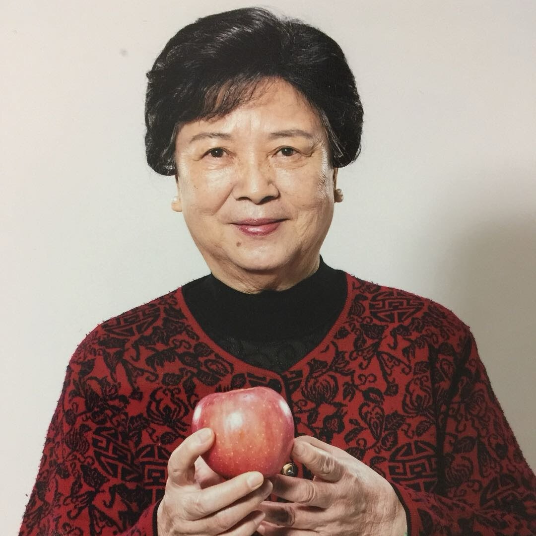 为食猫妈子