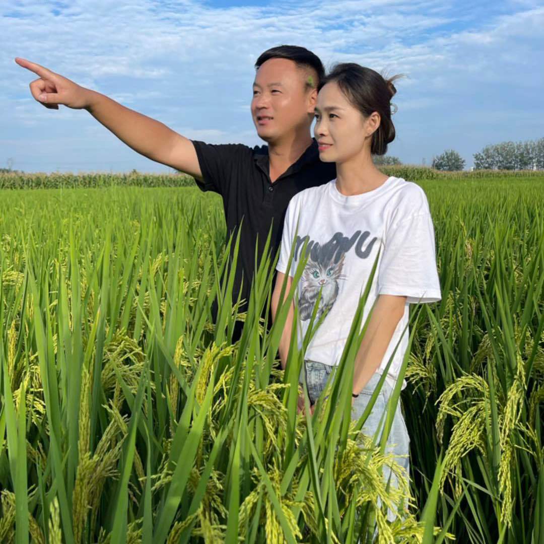 乡村王大强