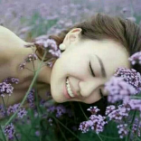 橄榄树9078