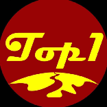 圈内顶流娱乐